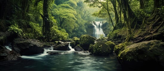 Foregrounding the lush forest with a captivating waterfall in the backdrop provides an enticing view in the copy space image