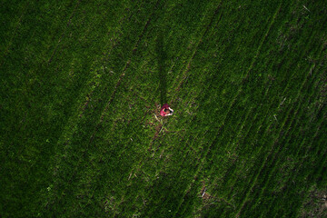 Aerial view of farmer holding drone remote controller in wheat seedling field, top down