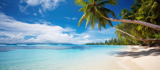 Tropical beach scenery on a sunny day with coconut palm trees perfect for a copy space image