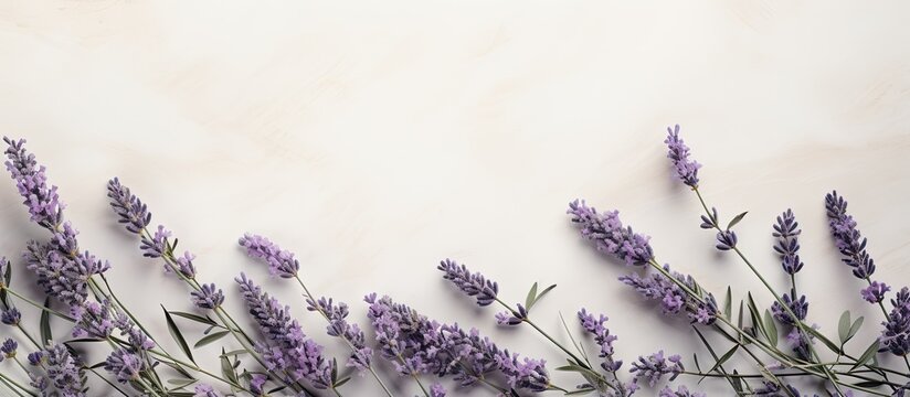 Flat lay concept featuring a creative mockup layout of lavender branches on a table with a designated copy space image
