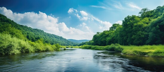 A scenic summer view featuring a river lush forest and verdant riverbanks set against a sunny sky with fluffy white clouds ideal for a copy space image - Powered by Adobe