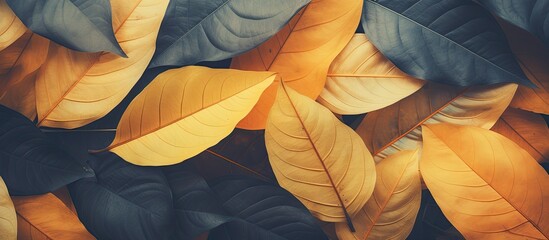 Tropical dark yellow and orange leaves create an abstract texture background in a public natural park with a vintage tone ideal for a copy space image