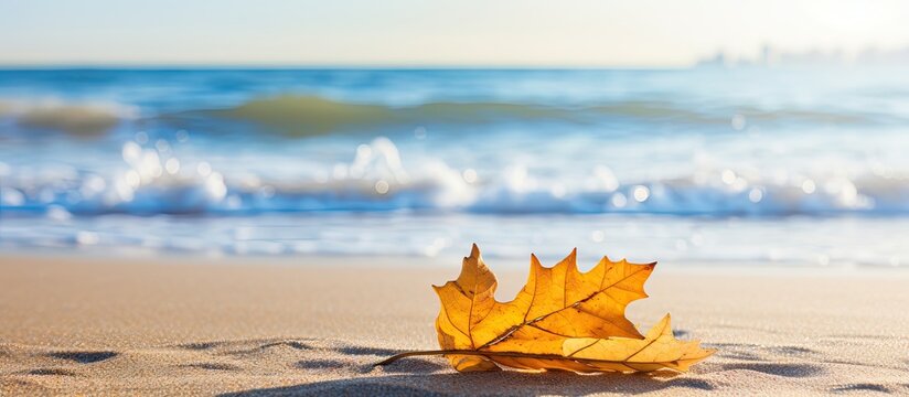 Sunny day at the beach with a yellow autumn leaf in focus against blurred waves providing a serene backdrop in a copy space image