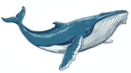 Blue whale sketch. Vector illustration isolated on white