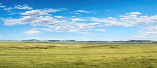 Expansive flat grassland known as steppe prairie or veldt found in southeastern Europe or Siberia providing vast open landscapes with endless horizons and minimal trees ideal for animal grazing