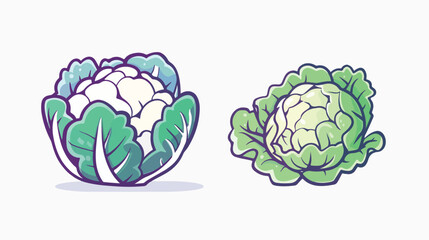 Cabbage vegetable icon. Organic vegetarian product