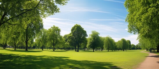 On a sunny summer day a park with lush green spaces and meandering paths perfect for walking or cycling with a clear blue sky above and ample copy space image