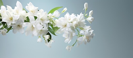 Fototapeta premium White ornamental flower bouquet with hanging design ideal for interior decoration in a copy space image