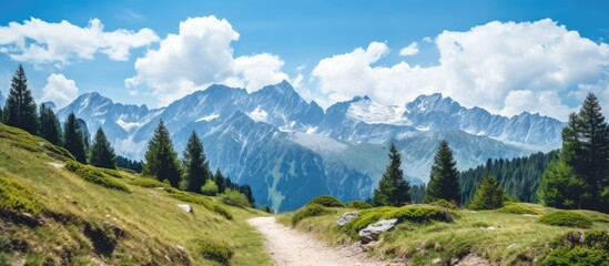 Vertical image of alps and path leading in the middle of the picture. Copy space image. Place for adding text and design