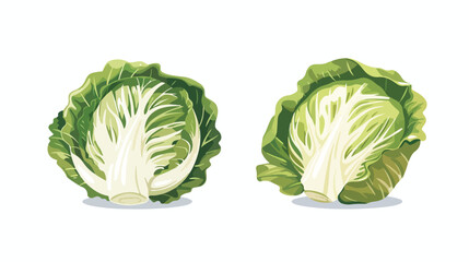 Cartoon illustration with colorful Asian cabbage