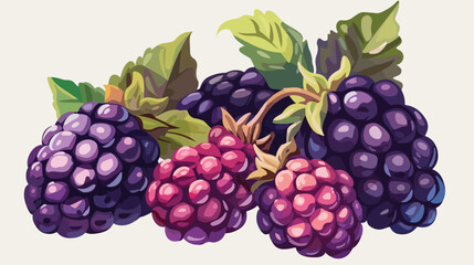 Cartoon illustration with colorful blackberry. Farm 