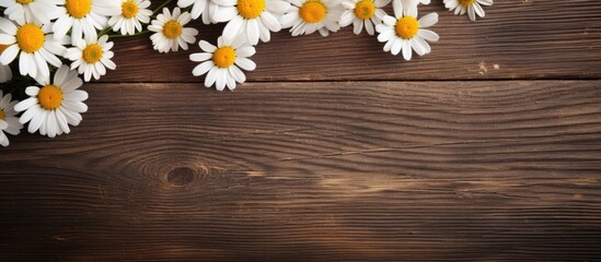 Obraz premium Chamomile flowers on a wooden background in a blank greeting card with copy space image