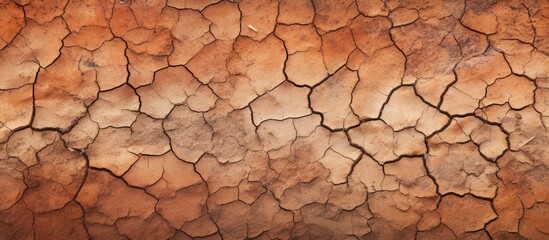 background texture cracked clay shore of a reservoir with rusty water. Copy space image. Place for adding text and design