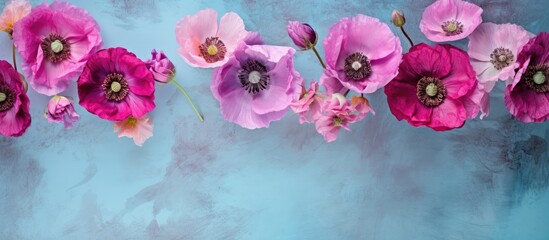 Top down view of pink and purple poppy flowers in a bunch against a blue grunge backdrop perfect...