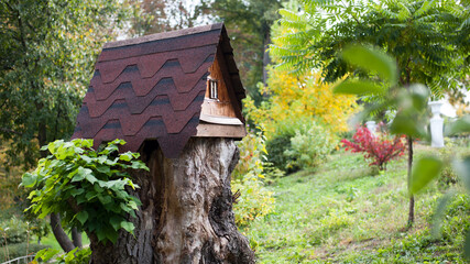 house in the forest for animals and birds. Wooden bird house in the autumn park. on an tree stump....