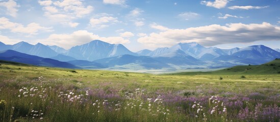 Scenic landscape with purple wildflowers in a meadow beneath a blue cloudy sky against a mountain backdrop with copy space image