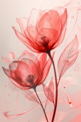 Two Red Flowers on a White Background