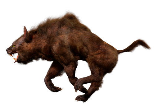 3D Rendering Varg on White