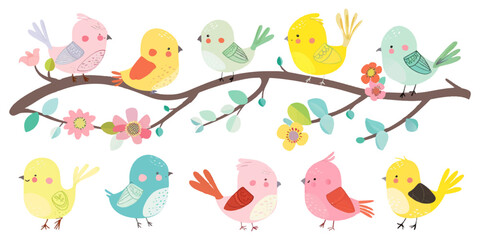 Vector illustration of bird set on white background