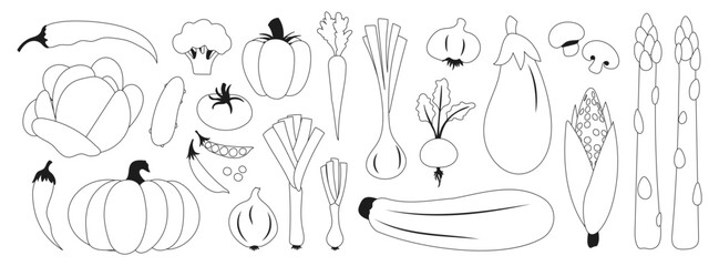 Black line vegetables icons. Fresh vegetables including asparagus, eggplant and corn. Onions, beets and pumpkin. Tomato, cucumber and pepper.