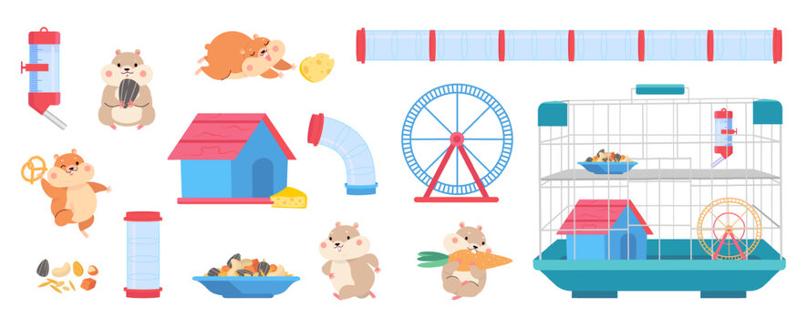 Hamster equipment. Cartoon hamsters, cage tools for playing, eating, drinking and training. Fatty fluffy domestic pets, run wheel, seeds nowaday vector clipart