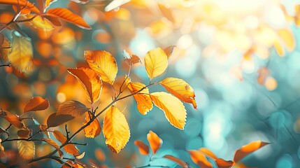 Tree branch with yellow leaves. Selective focus.
