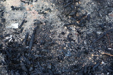Black coal and fire ashes, close up. Cold coals.