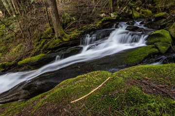 Obraz premium waterfall in the forest