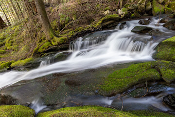 waterfall in the forest