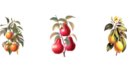 Set of fruits orange , lemon etc 