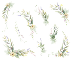 Watercolor light green leaves, twigs, flowers and branches set. Vector clipart for invitations, greeting cards, save the date, stationery design. Hand drawn illustration.