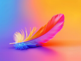 Obraz premium Colored bird feather floating in air on gradient background copy space