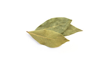 dried bay leaf isolated on white background with copy space. Close-up.