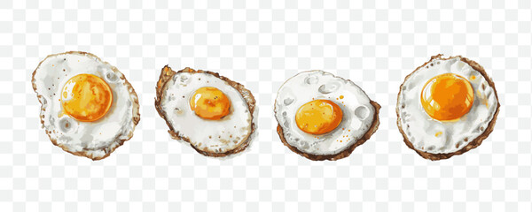 Sunny side up egg watercolor transparent isolated vector