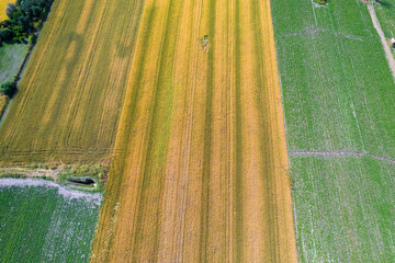 Rural landscape, cultivated fields with colors and transversal lines seen from above