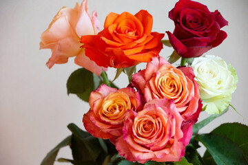 色とりどりのバラ