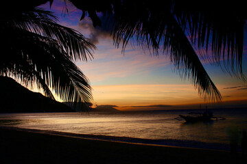 View of the beach and calm sea through the branches of a palm tree during sunset. Tropical...