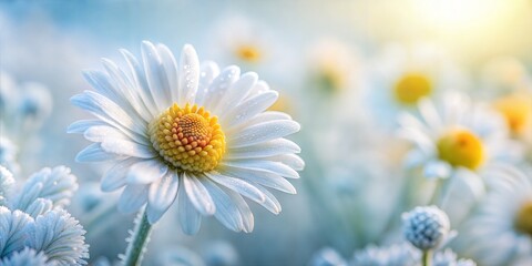 Frosty Daisies Blur: A cool, pale yellow and white blurred background that mimics the look of frosty daisies, perfect for gentle winter designs.
