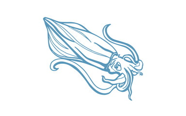 Vector illustration of a realistic squid. Hand drawn seafood.	Blue color.