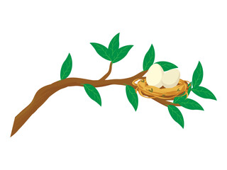 Bird nest with two eggs on branch with leaves isolated on white background. Springtime, cartoon bright, cute stock vector illustration.
