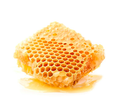 Honeycomb on white backgrounds