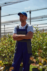 Male farmer in a blueberries farm.