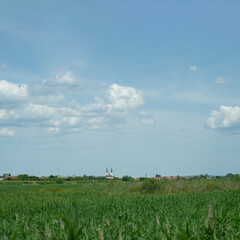 green field and blue sky creative copy space concept. 