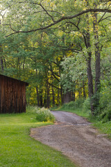 Selective focus background image of fresh foliage outdoor park background