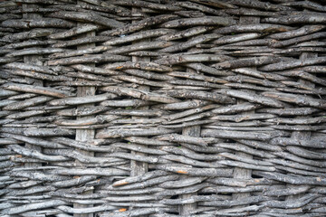Background, texture of tree branches, spruce in the form of a protective fence. The fence is woven...