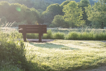 Summer green background copy space selective focus, lush foliage natural light, bokeh natural...