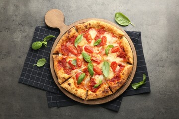 Delicious Margherita pizza and basil on grey table, top view