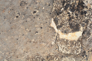 Stone surface detail