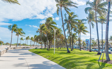 Palm trees by world famous Ocean Drive in Miami Beach