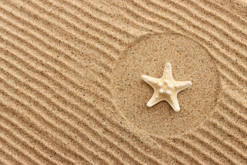 Starfish on a sand background